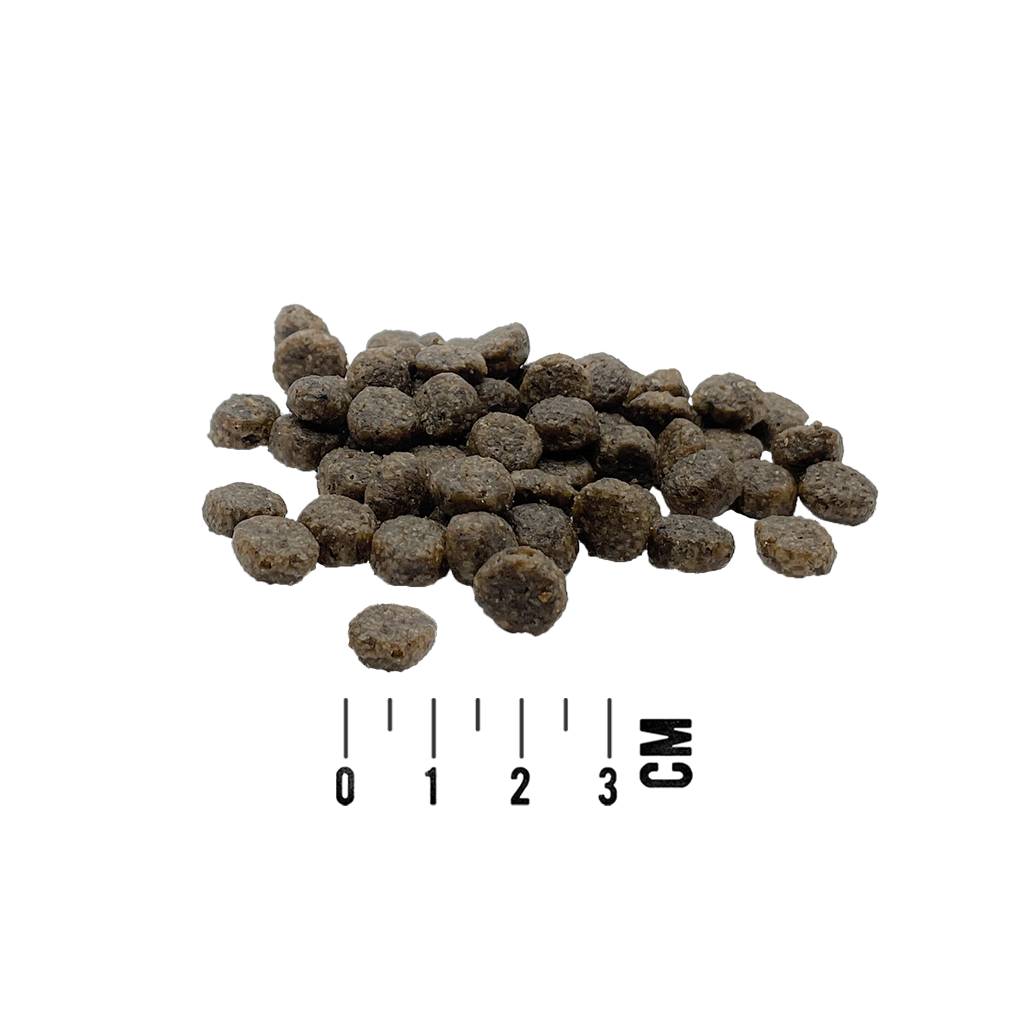 MAC's Mono Mini Adult Friss Bárány 7kg